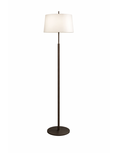 Modern Dark Bronze Floor Lamp
