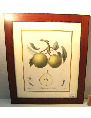 Fruit prints (no.10)