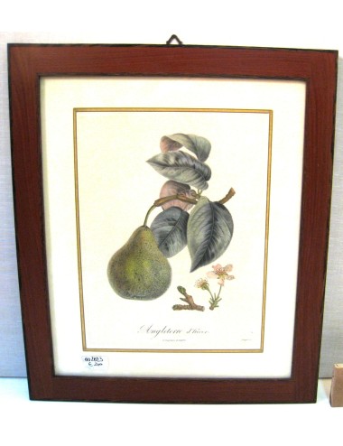 Fruit prints (no.10)