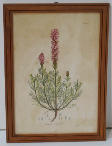 4 stampe floreali