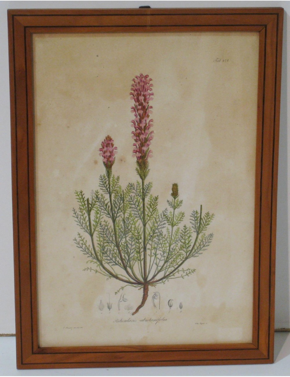 4 flower prints 4 flower prints
