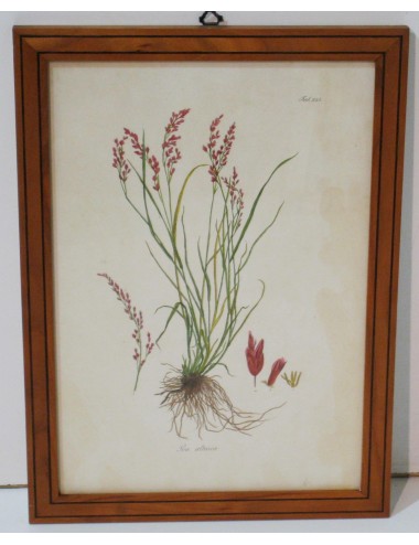 4 stampe floreali