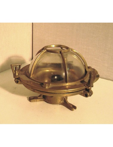Medium oval modern turtle