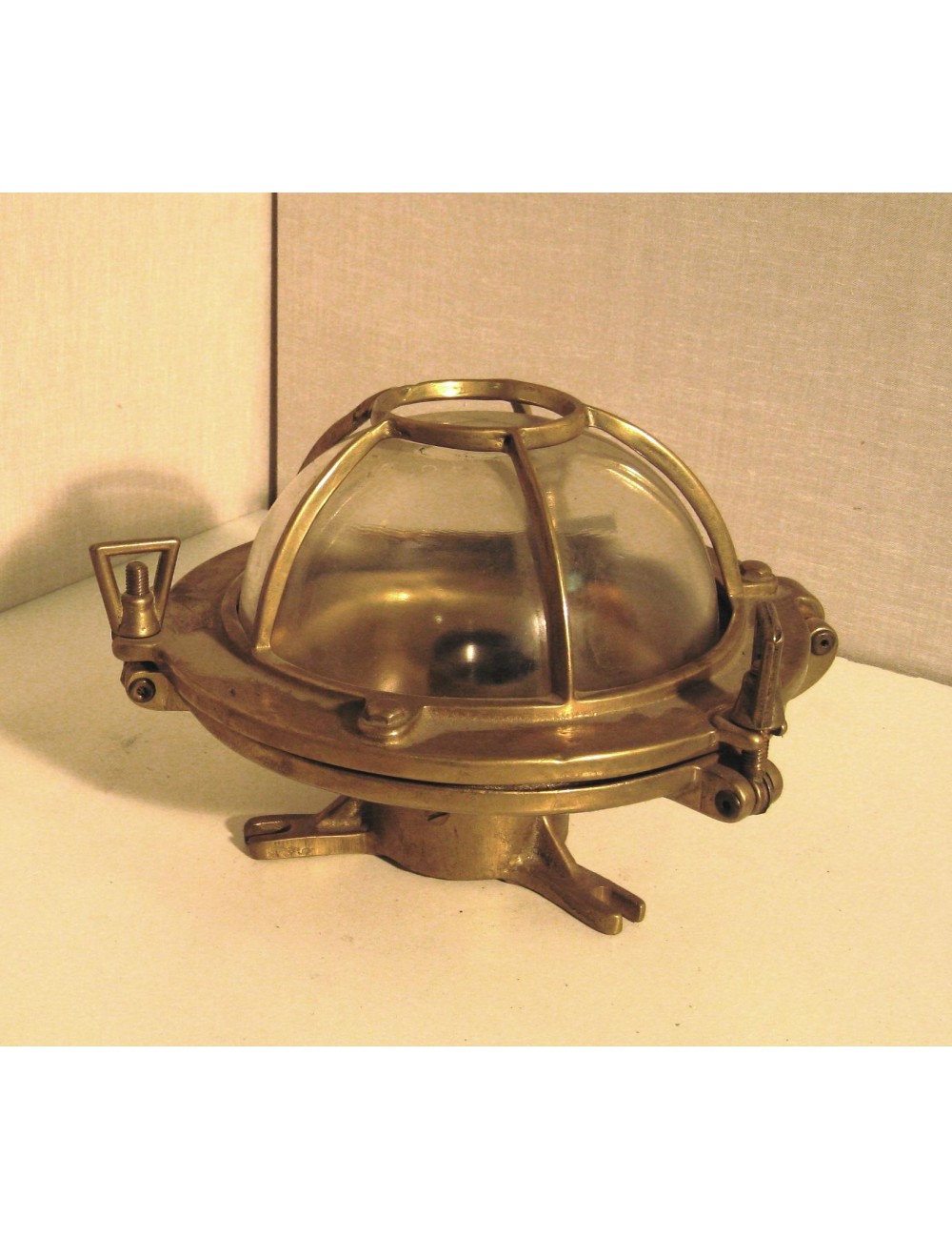 Medium oval modern turtle Medium oval modern turtle