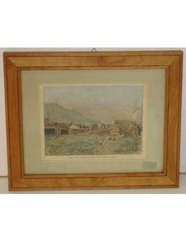8 Stampe di passaggio Verde