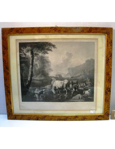 2 Large black/white cow prints