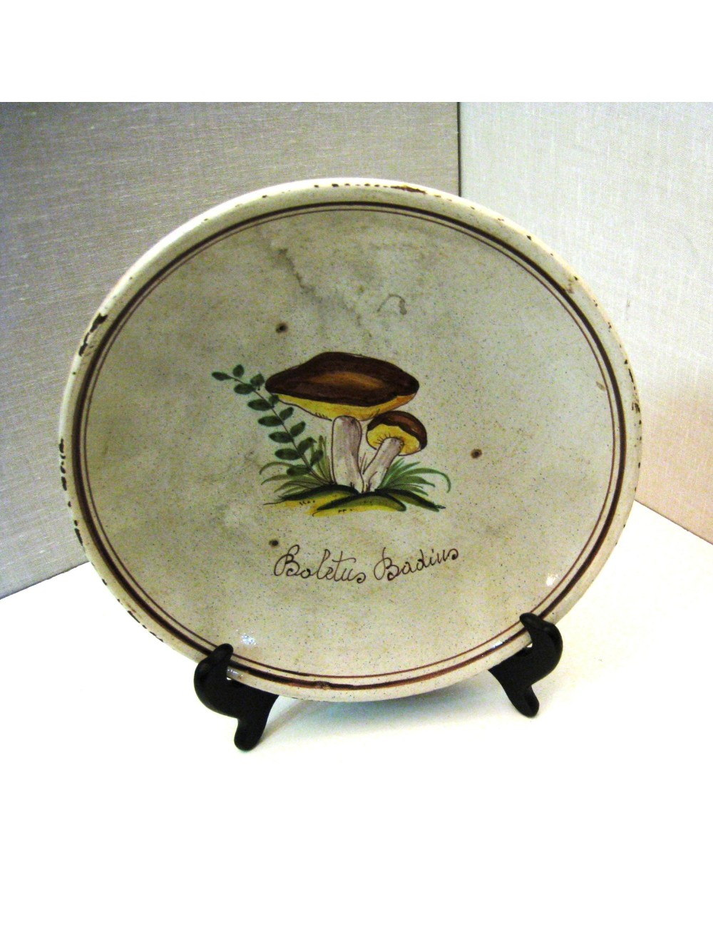 2 Mushroom pattern plates modern