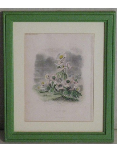 7 stampe di donne in fiore L137 - (n. 7)