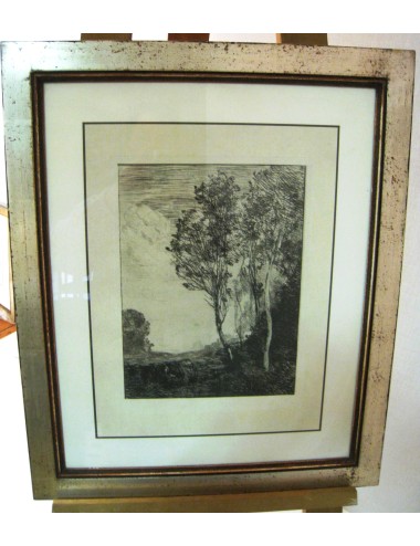 Alberi da stampa