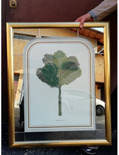 15 stampe di palme - senza cornice