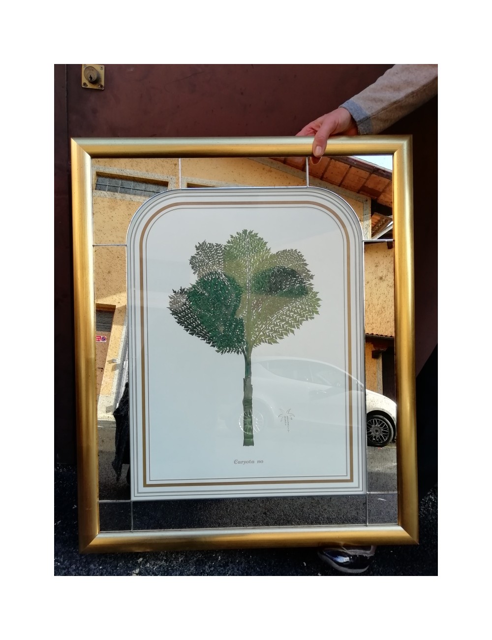 15 palm prints - unframed