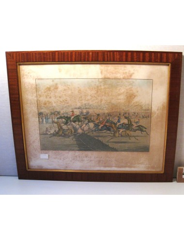 4 Stampe di cavalli