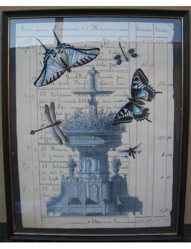 Manoscritti giardini/farfalle
