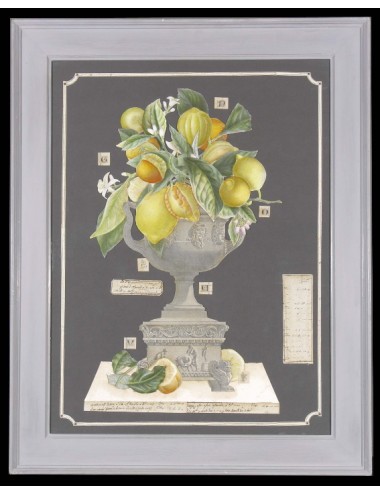 2 Decoupage prints in grey lacquered flat frame, subject: orange and lemon cups