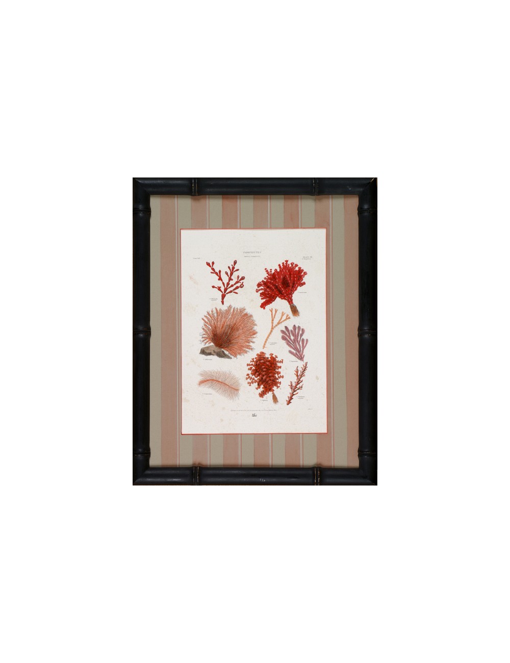 2 prints in black bamboo frame small corals subject