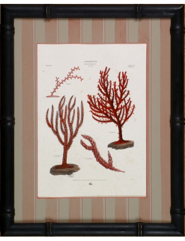 2 prints in black bamboo frame small corals subject