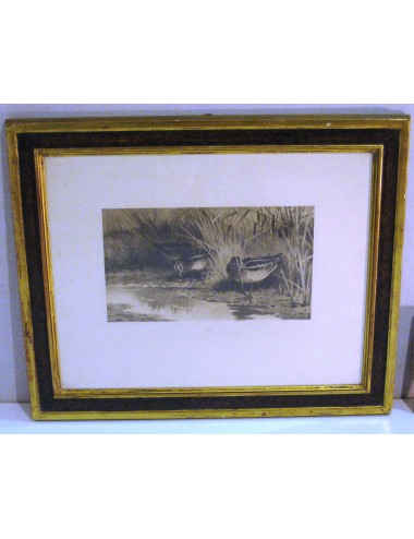 Woodcock print