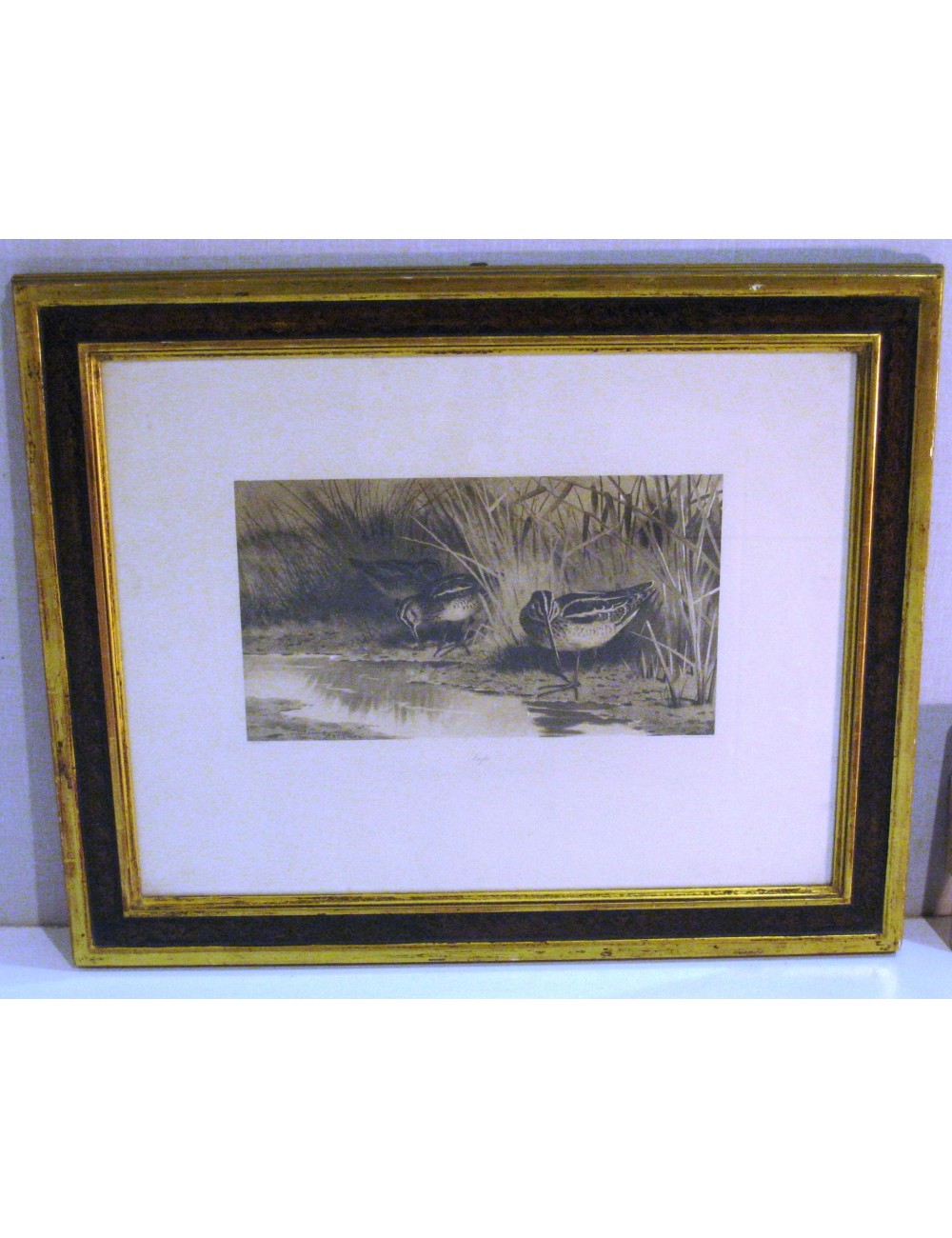 Woodcock print