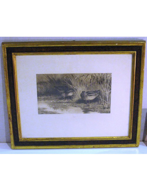 Woodcock print