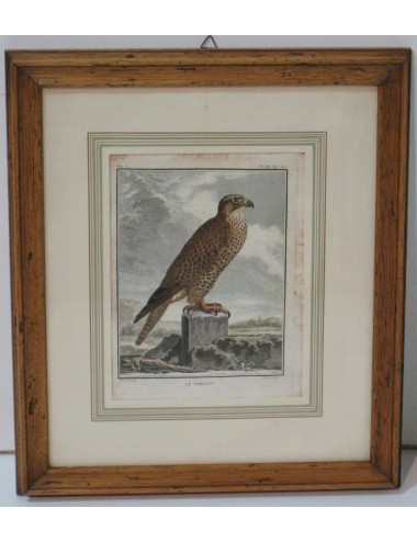 2 Bird Prints
