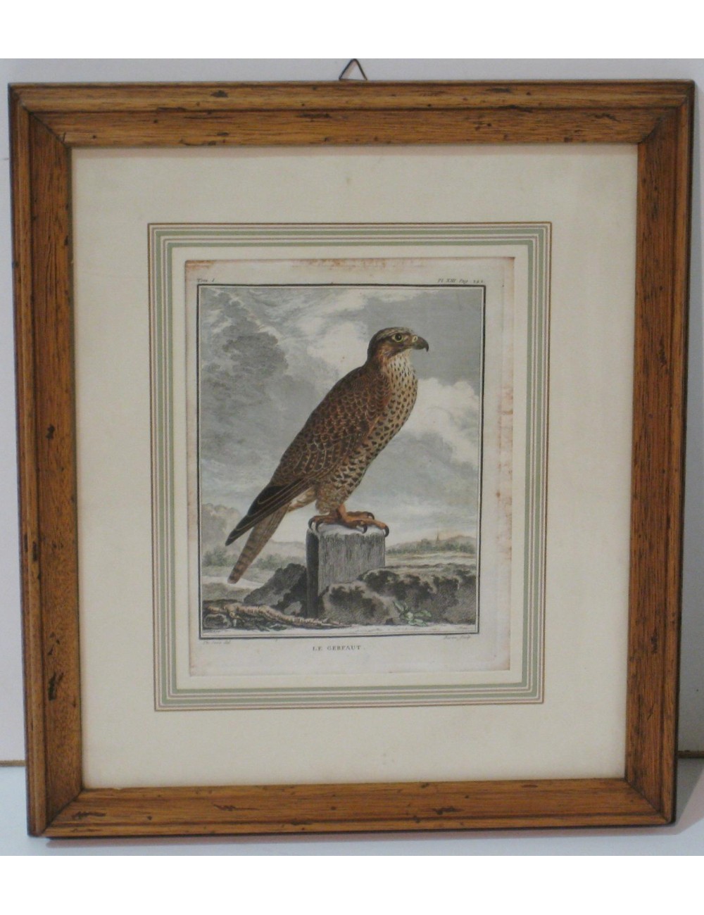 2 Stampe di uccelli