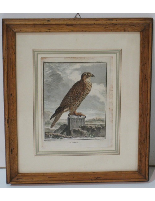 2 Bird Prints