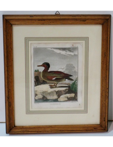 2 Bird Prints