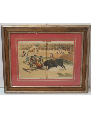 2 Stampe sulla corrida
