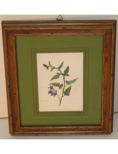 Stampa floreale pas. Verde