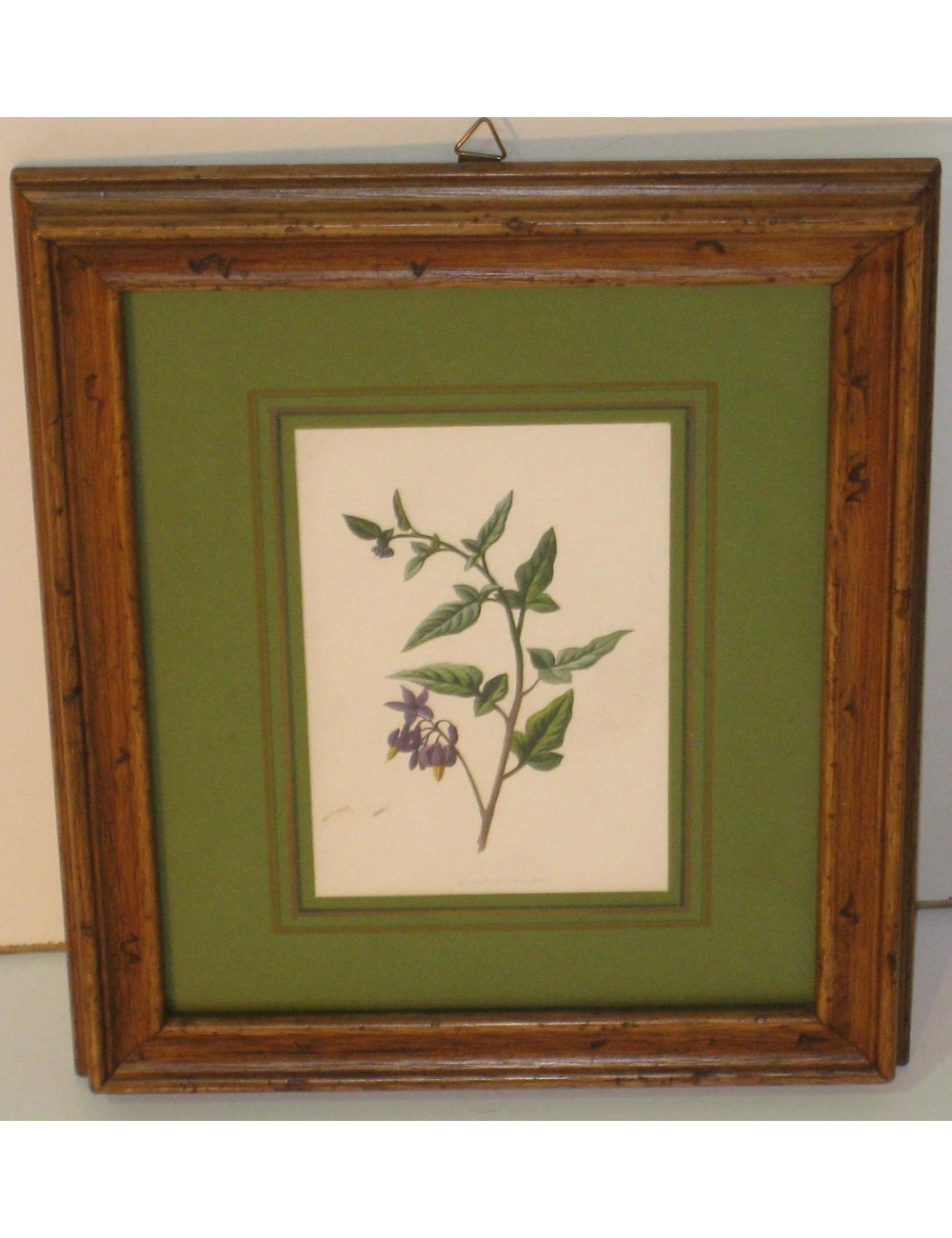 Stampa floreale pas. Verde