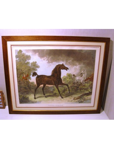 Horse print