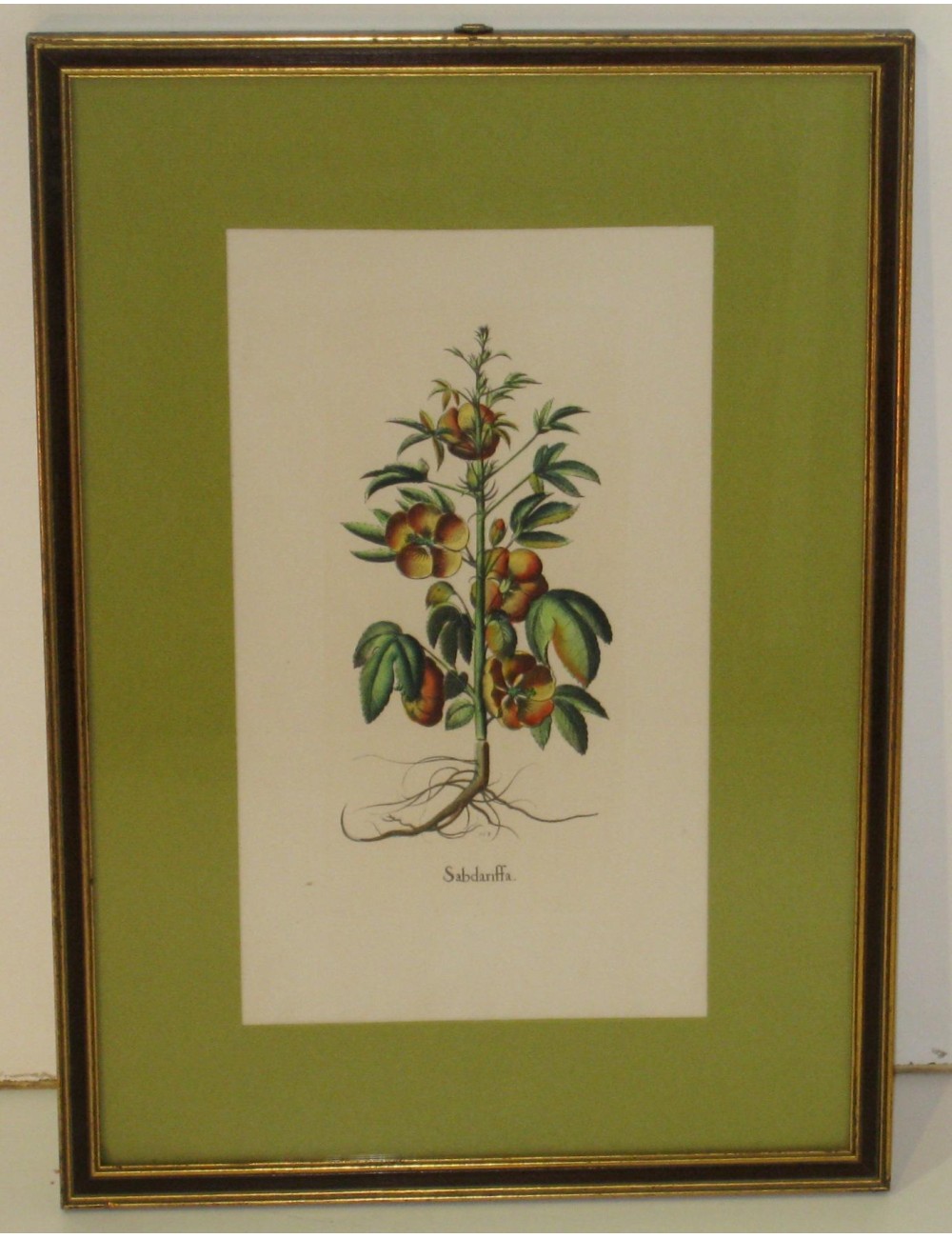 4 Stampe botaniche pass. Verde 4 Stampe botaniche pass. Verde
