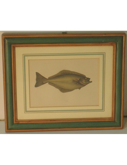 2 Fish Prints