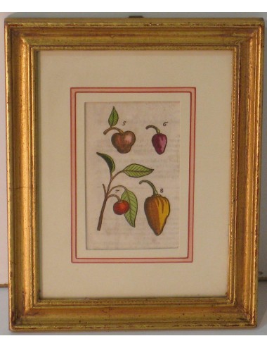 4 Botanical prints pass. Green