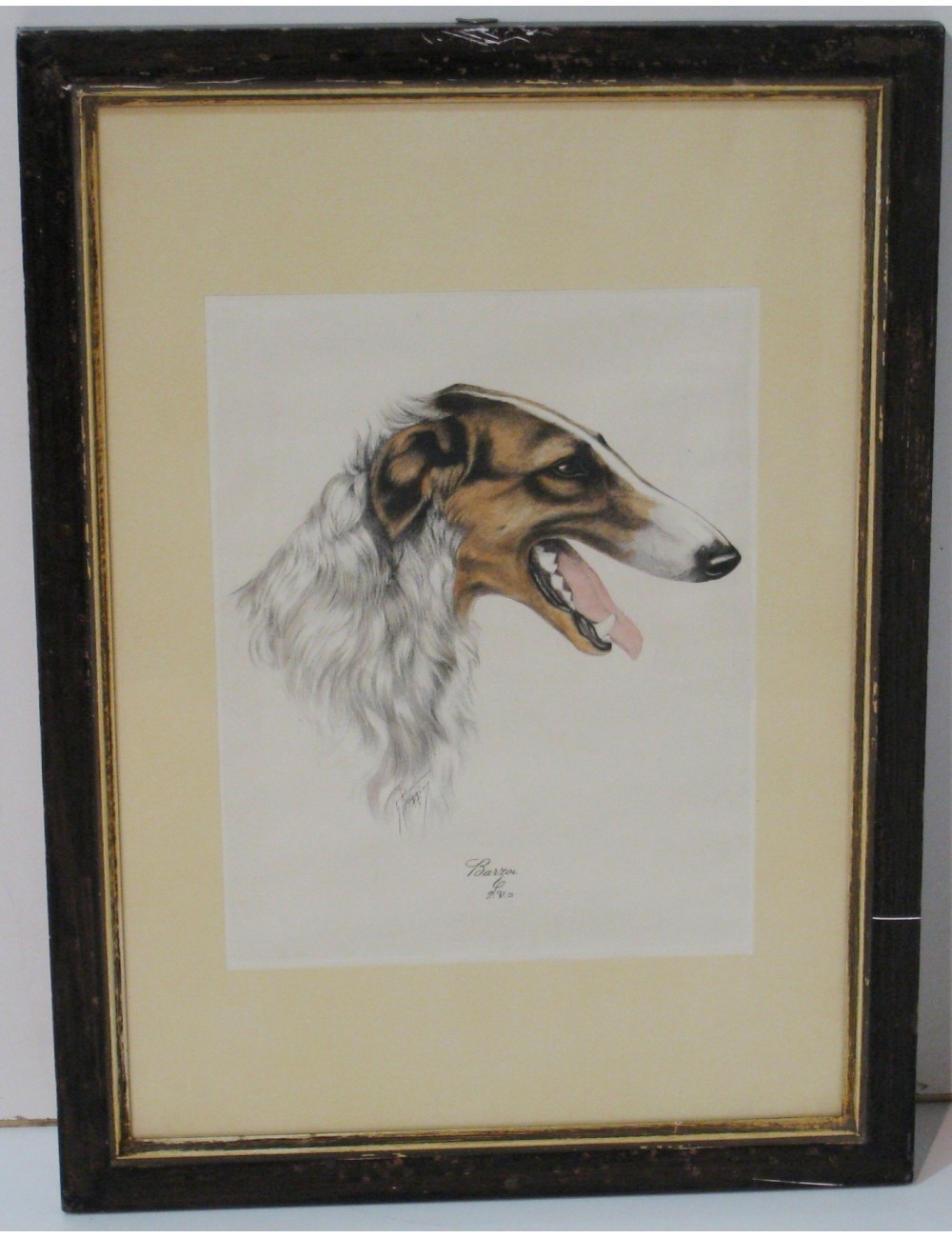 7 impronte di cani