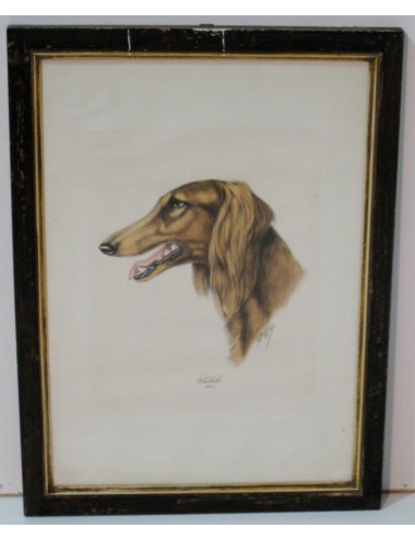 7 Dog Prints