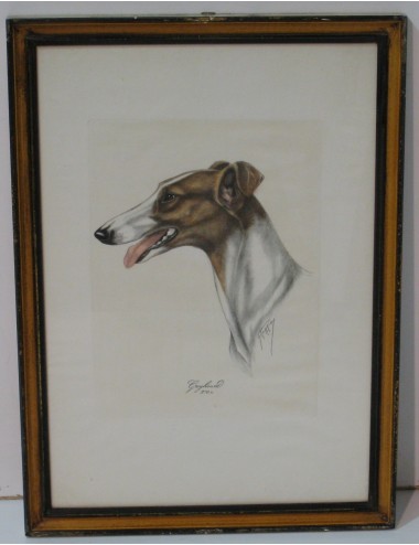 7 impronte di cani