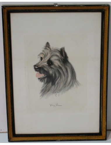 7 impronte di cani