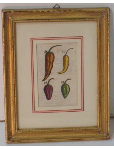 4 Botanical prints pass. Green