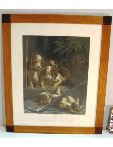 Print puppies