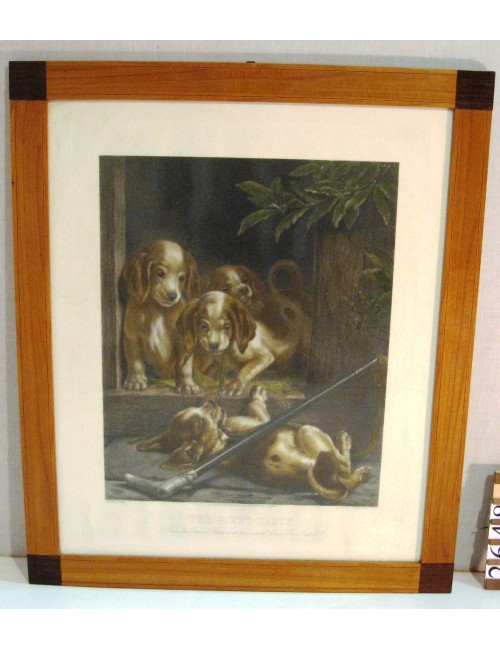 Print puppies