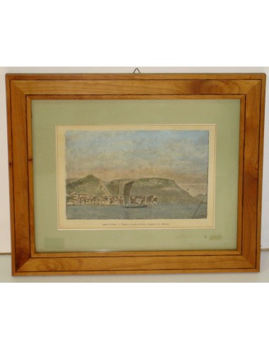 8 Stampe di passaggio Verde