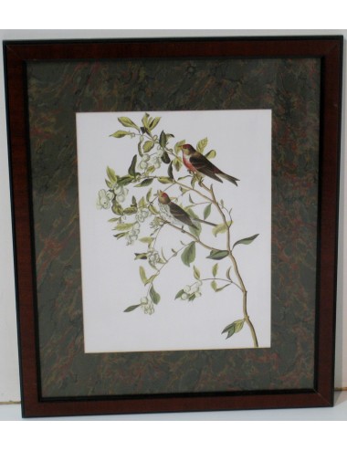3 bird prints L141 (no. 6)