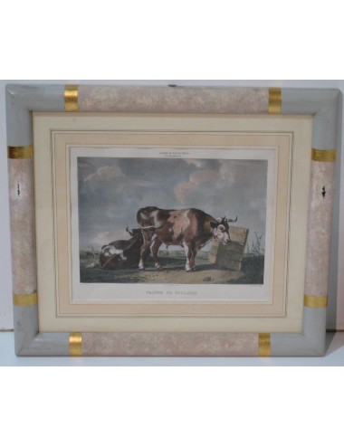 2 Cow prints