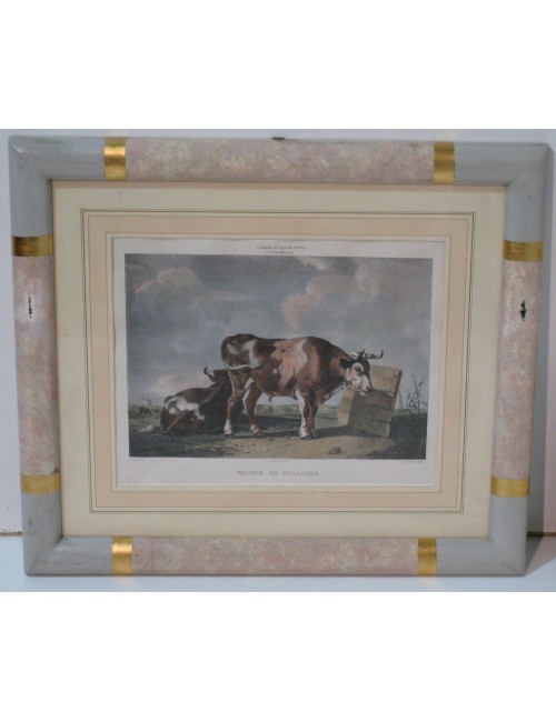 2 Cow prints
