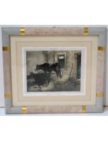 2 Cow prints