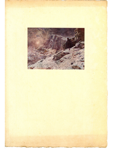Stampe del libro