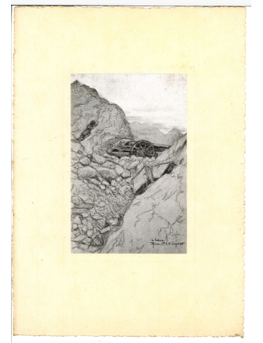 Stampe del libro