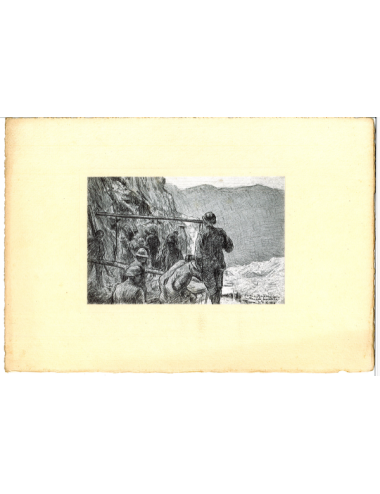 Stampe del libro