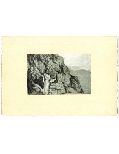 Stampe del libro
